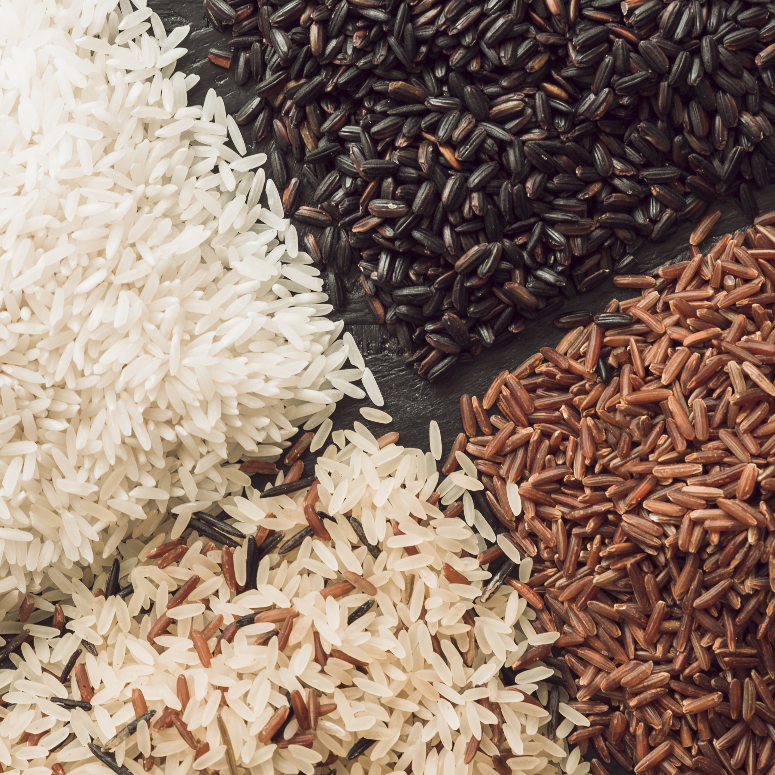 Rice and Grains